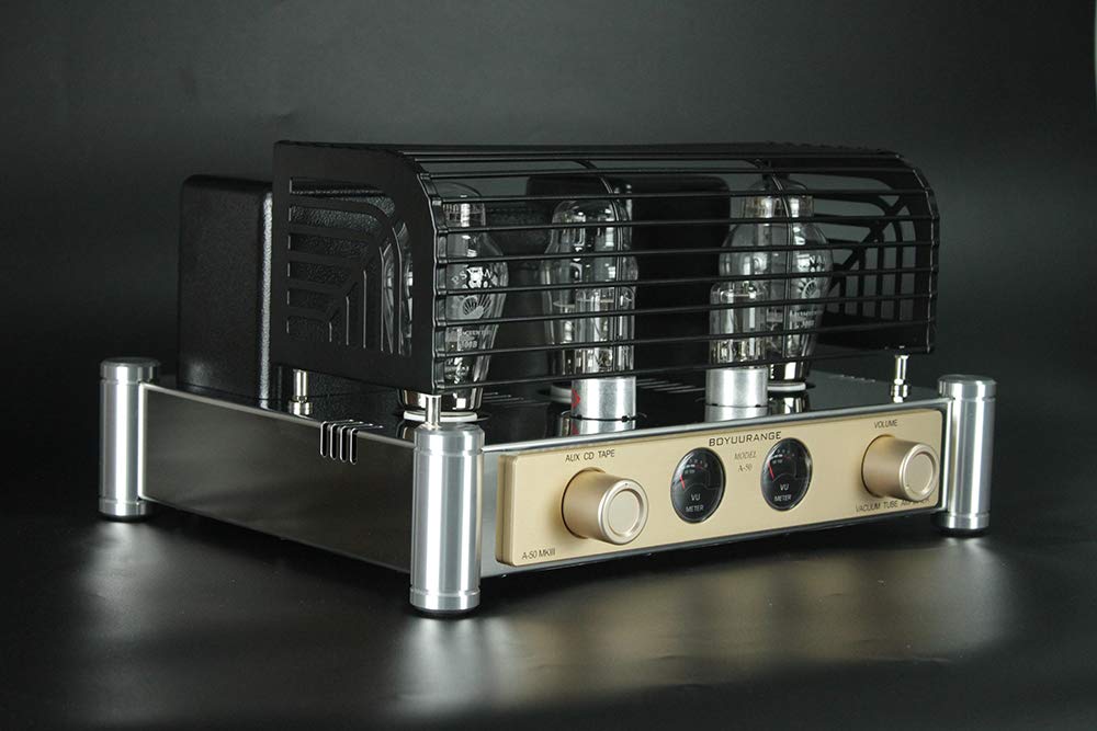 Reisong A50 MKIII 300B HiFi Integrated Tube Amplifier Single-Ended Class A Valve Amp with Protective Tube Cage Zevon